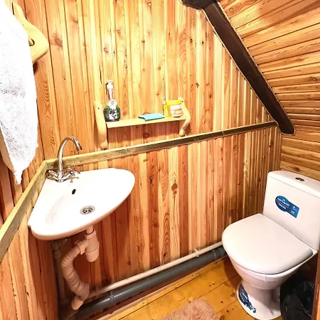 Lodge хвиля гір Skole