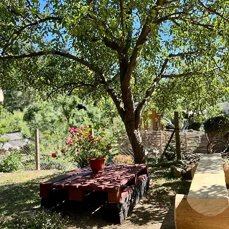 хвиля гір * Skole