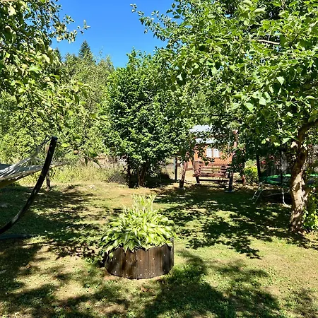 хвиля гір Lodge Skole